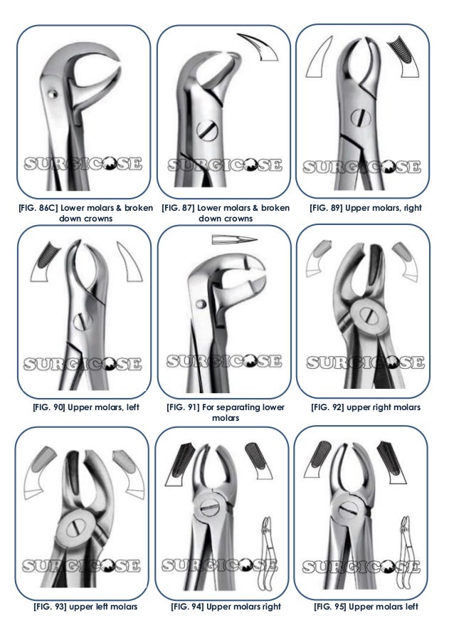 SURGICOSE DENTAL INSTRUMENTS: EXTRACTION FORCEPS [ENGLISH PATTERN] BY