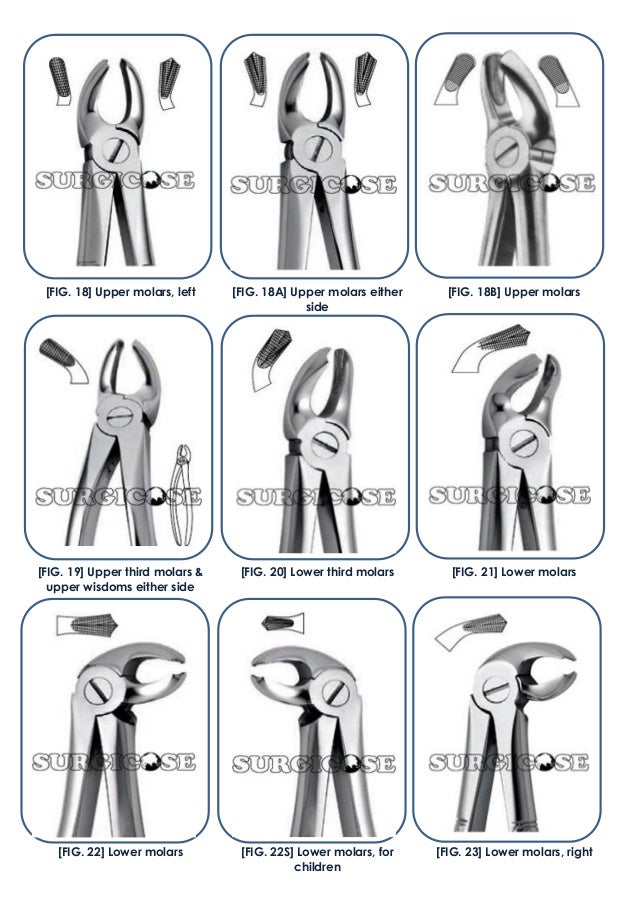 EXTRACTION FORCEPS (ENGLISH PATTERN) [SURGICOSE PK]