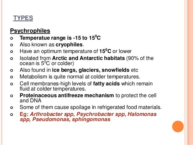 Sample essay on thermophile image