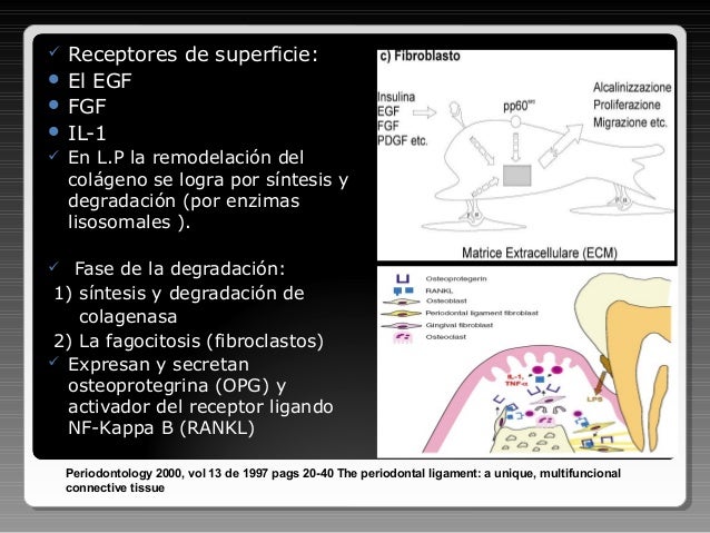 Carlos Azevedo Biologia Celular Molecular Pdf File