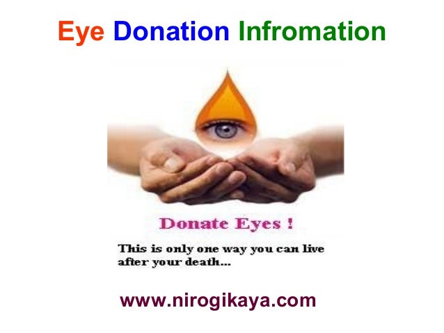 essay on donation of eyes essay on donation of eyes