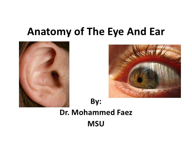 Eye + ear