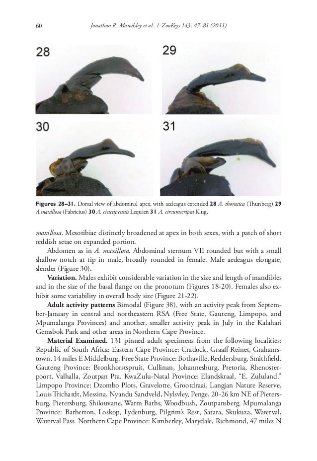 Flenser definition of integrity synonyms