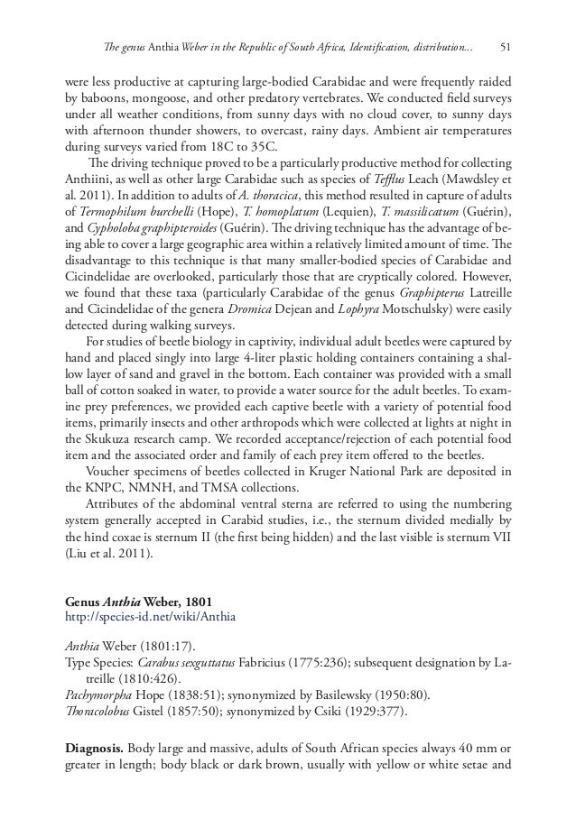 Flenser definition of integrity synonyms