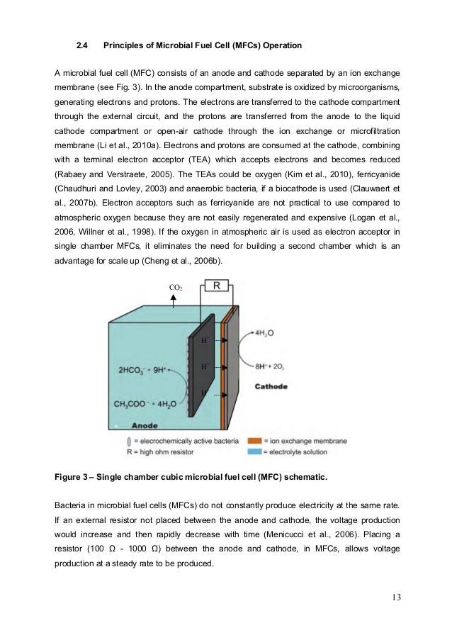 Phd thesis fuel cell