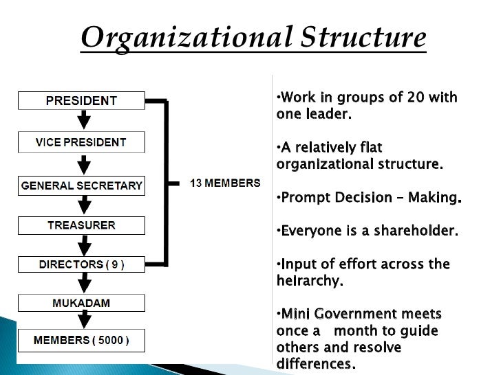 Organisational Theory Case Study The Organizational Structure