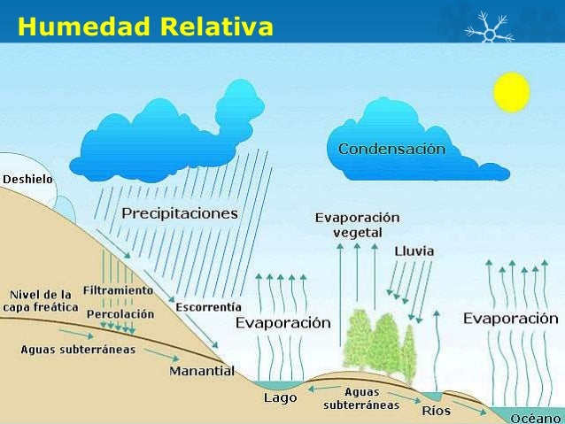 Factores climáticos