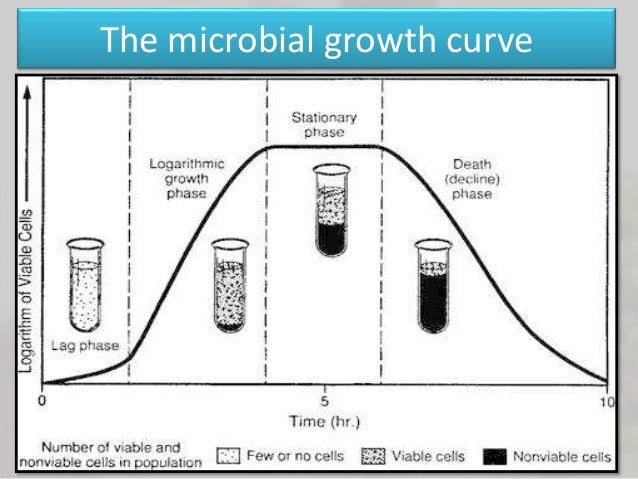 enviromental factors affecting food intake Do our surroundings affect factors that increase the food intake and at a given time environmental factors that increase the food intake. enviromental factors affecting food intake Do our surroundings affect factors that increase the food intake and at a given time environmental factors that increase the food intake.