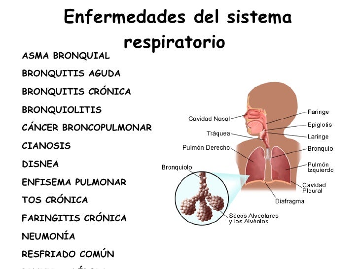 Grupo 3 - 7º A