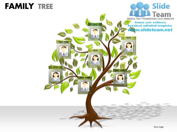 how to create a family tree in powerpoint