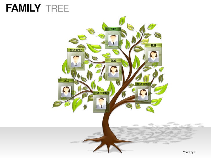 Family tree powerpoint presentation templates Family tree powerpoint presentation templates