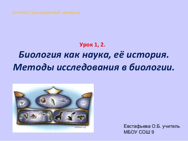 Презентация На Тему История Рекламы Презентация На Тему История Рекламы