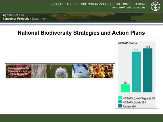 Indonesian biodiversity strategy and action plan