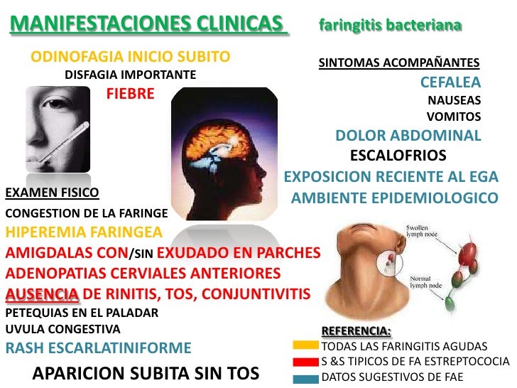 Que dieta hacer para bajar de peso exceso grasa subcutnea Que dieta hacer para bajar de peso importante: asegrate tener