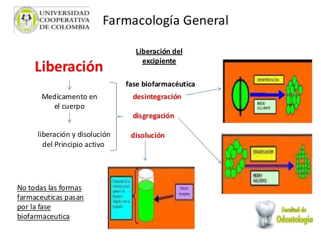 Farmacocinetica