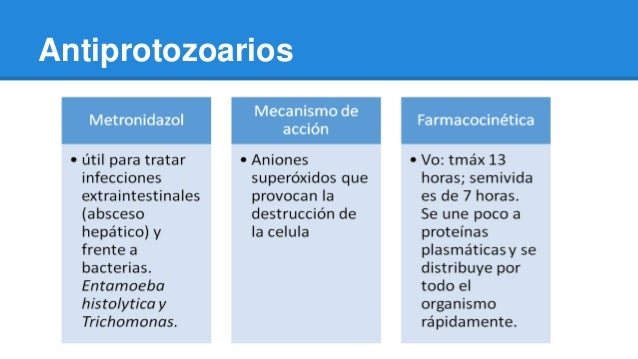 La carne de oso el parásito