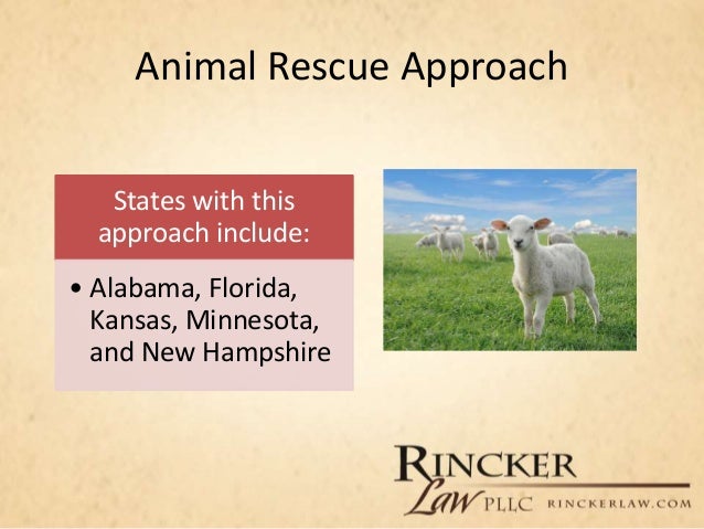an overview of the animal welfare and animal rights The animal welfare act 2006 is the principal animal welfare legislation under the animal welfare act 2006, powers exist for secondary legislation and codes of practice to be made to promote. an overview of the animal welfare and animal rights The animal welfare act 2006 is the principal animal welfare legislation under the animal welfare act 2006, powers exist for secondary legislation and codes of practice to be made to promote.