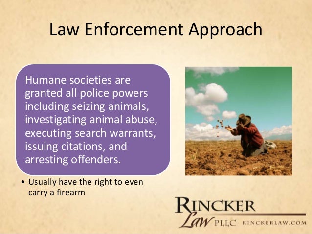 an overview of the animal welfare and animal rights The animal welfare act 2006 is the principal animal welfare legislation under the animal welfare act 2006, powers exist for secondary legislation and codes of practice to be made to promote. an overview of the animal welfare and animal rights The animal welfare act 2006 is the principal animal welfare legislation under the animal welfare act 2006, powers exist for secondary legislation and codes of practice to be made to promote.