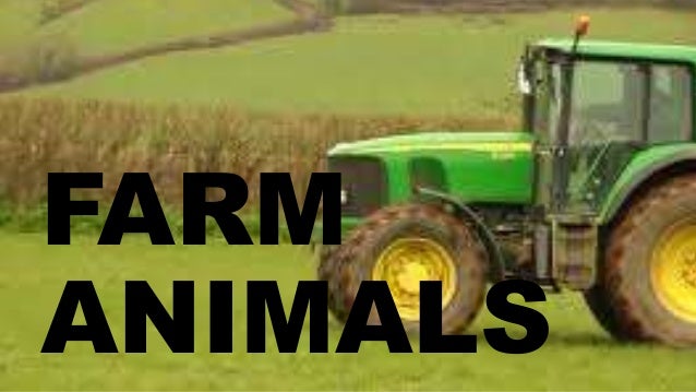 FARM
ANIMALS