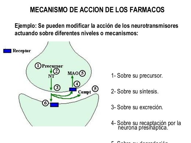 Mecanismos Moleculares De Accion De Los Farmacos es.slideshare.net