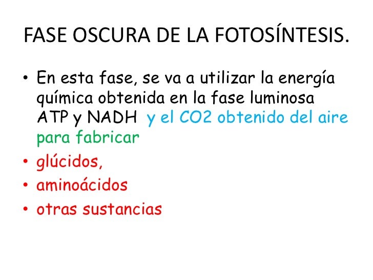 El ácido fólico para el adelgazamiento como aceptar la dosificación