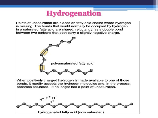 saturated and unsaturated fatty acids pdf