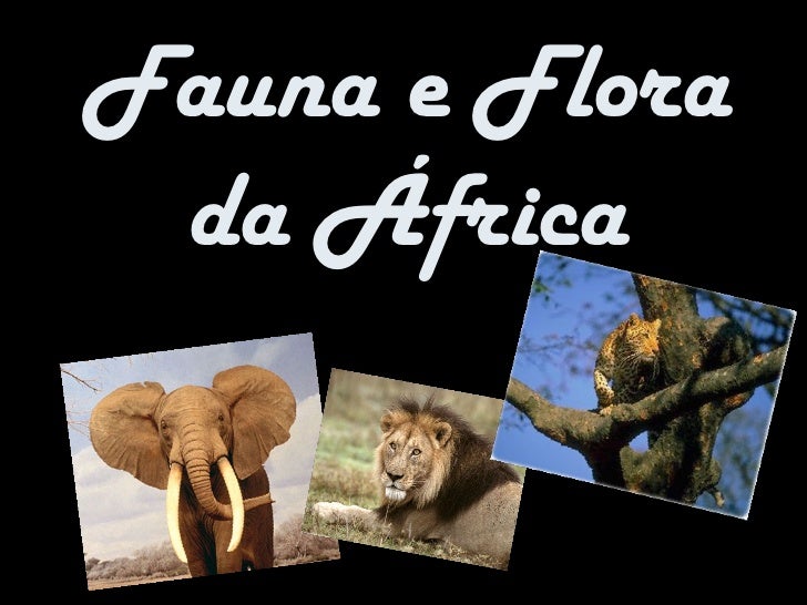 Fauna e flora da áfrica Fauna e flora da áfrica