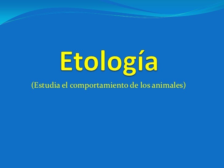 El hongo más difundido de las uñas