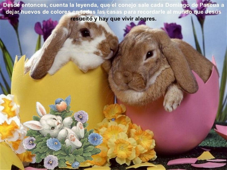 Felices pascuas la leyenda del conejo de pascua