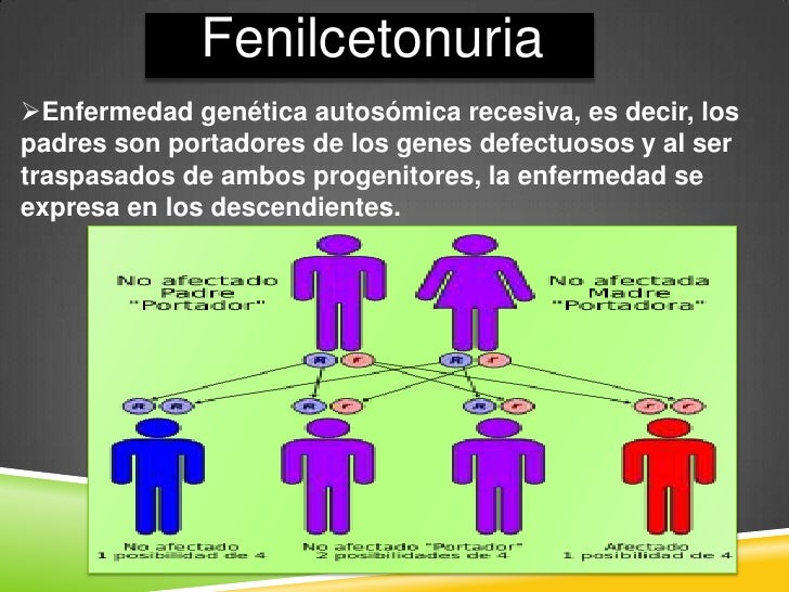 Fenilcetonuria (PKU) Fenilcetonuria (PKU)