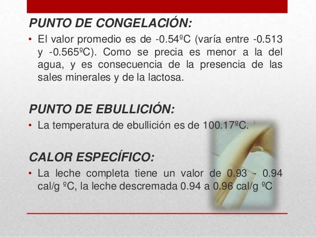 Fermentacion de leches y cremas.