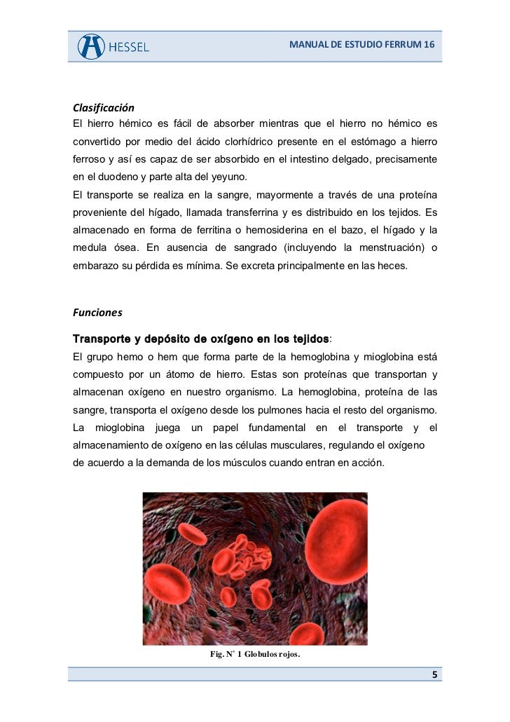 diflucan drug interactions diflucan drug interactions