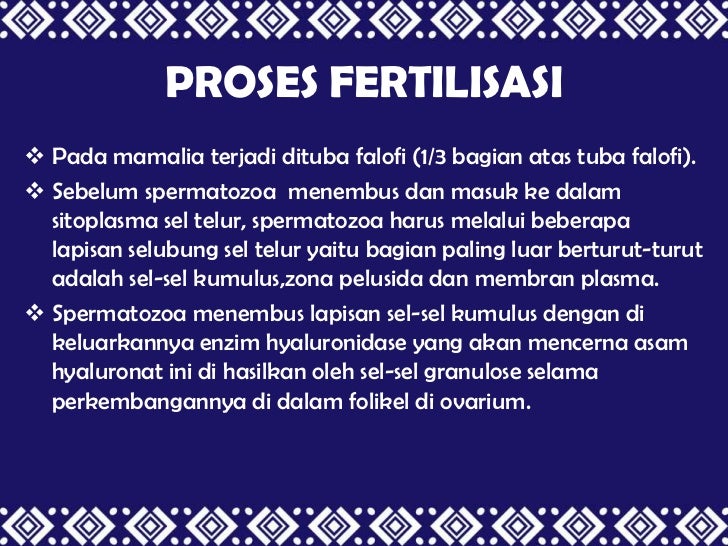 fertilisasi dan implantasi pdf free