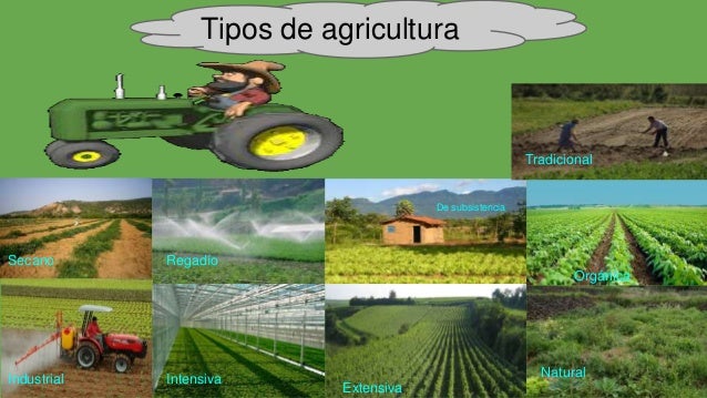 Resultado de imagen para tipos de agricultura