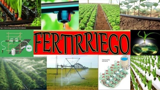 Fertirrigacion mas aplicacion de quimicos