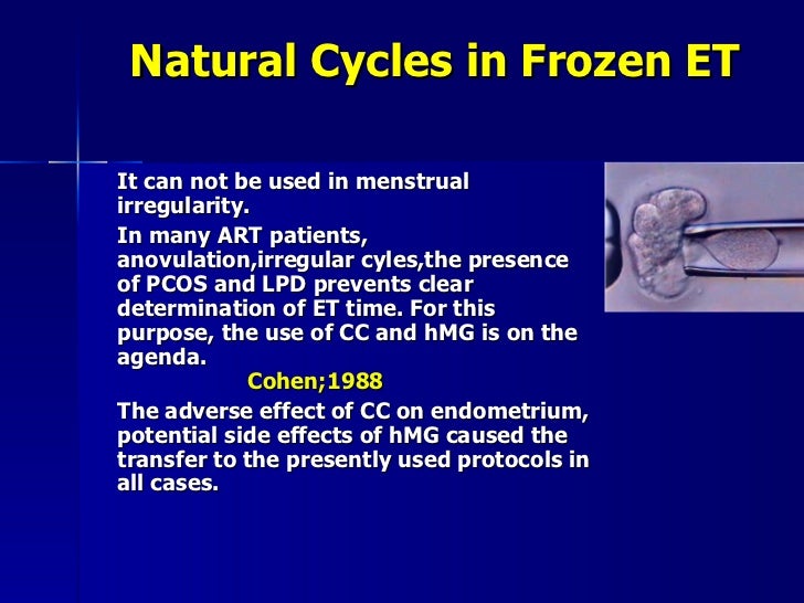 ENDOMETRIAL PREPARATION IN FROZEN EMBRYO TRANSFER CYCLES