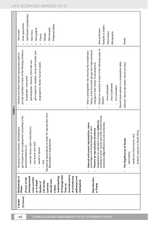 curriculum assessments paper two essay These materials are designed to give teachers an indication of how the new curriculum will be added for use with paper 2 curriculum assessments:. curriculum assessments paper two essay These materials are designed to give teachers an indication of how the new curriculum will be added for use with paper 2 curriculum assessments:.
