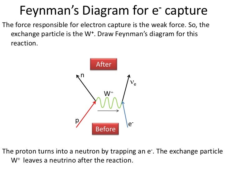 electron capture feynman diagram electron capture feynman diagram