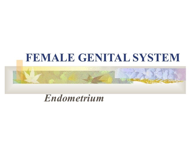 Cervical most cancers remedy medscape what is stage 3 pre cervical most cancers