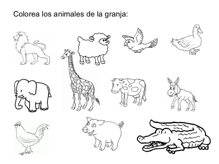 Imagenes para colorear de los animales domesticos y salvajes - Imagui