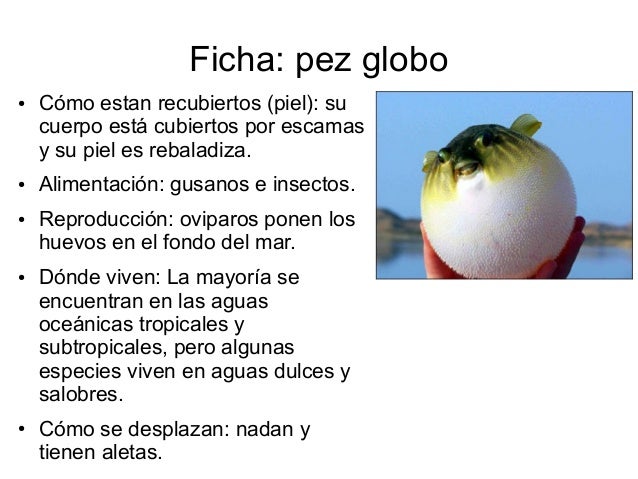 Resultado de imagen de fichas de animales