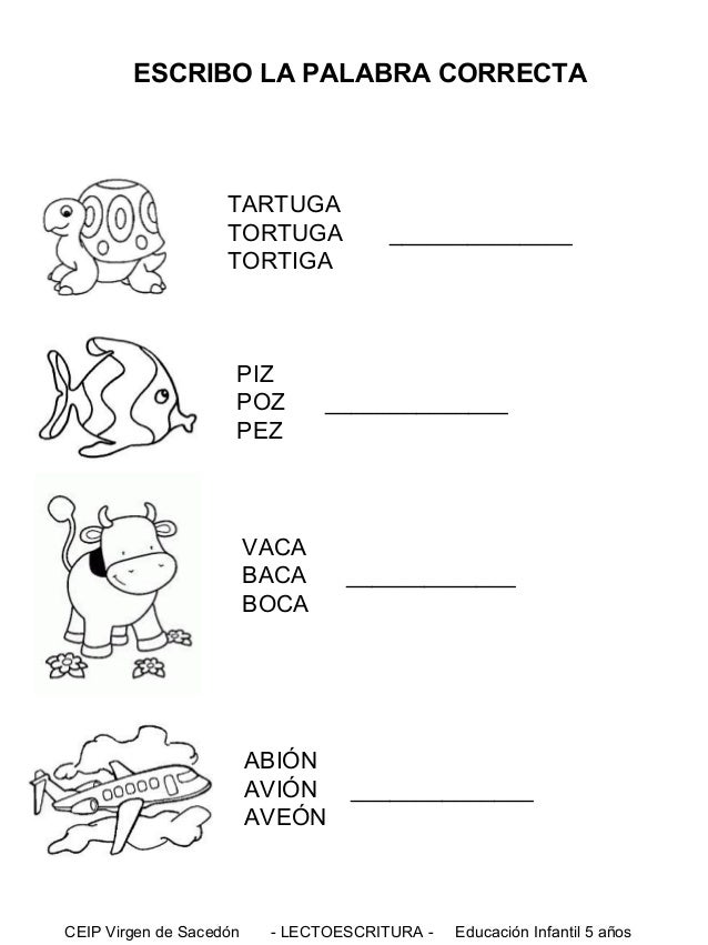 Curso De Caligrafia Em Pdf Nysoftmore A continuación te presento mi propio material de lectoescritura, el cual he preparado en base a la experiencia que obtuve enseñando a leer y escribir a niños desde los 5 años y en base a todo el. nysoftmore