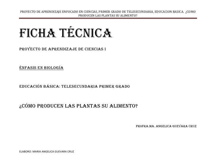 FICHA TECNICA EJEMPLO ficha tecnica ejemplo: