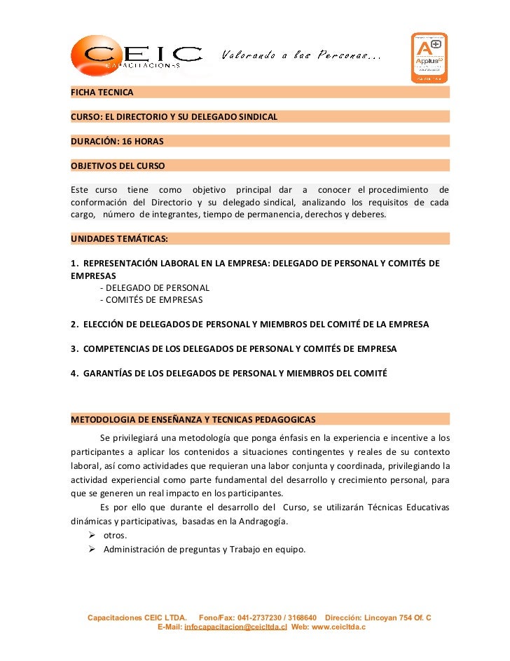 EL DIRECTORIO el directorio: