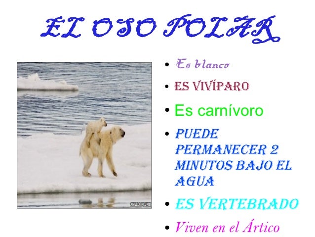 Fichero animales 4ºa