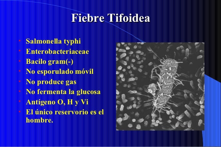 Fiebre Tifoidea Educon
