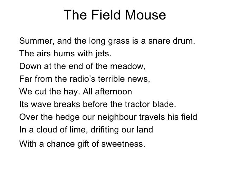 Field Mouse