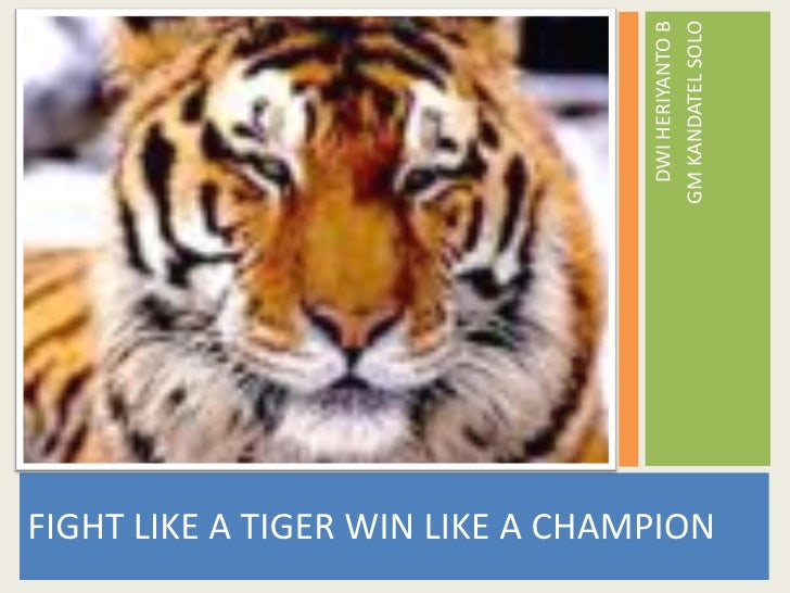 fight like a tigers win like a chion fight like a tigers win like a chion