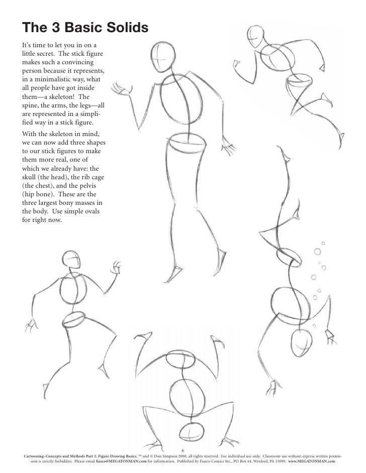 basics of drawing human figures