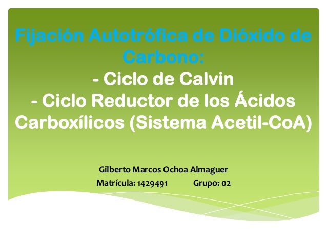 FisicaNet - Fijacin de carbono Biologa - Metabolismo